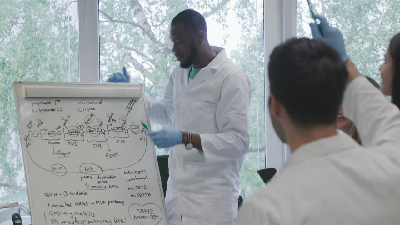 黑人男性科学家在白板前向他的团队解释复杂的问题视频下载