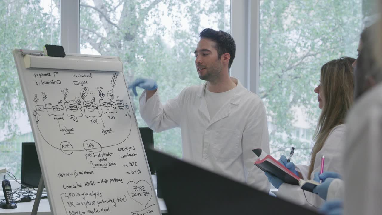 男科学家在白板前向他的团队解释复杂的问题视频素材