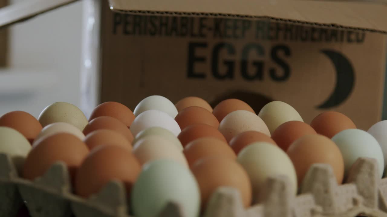 特写慢动作拍摄的新鲜农场鸡蛋在当地小企业农场到餐桌供应商仓库在科罗拉多州视频下载