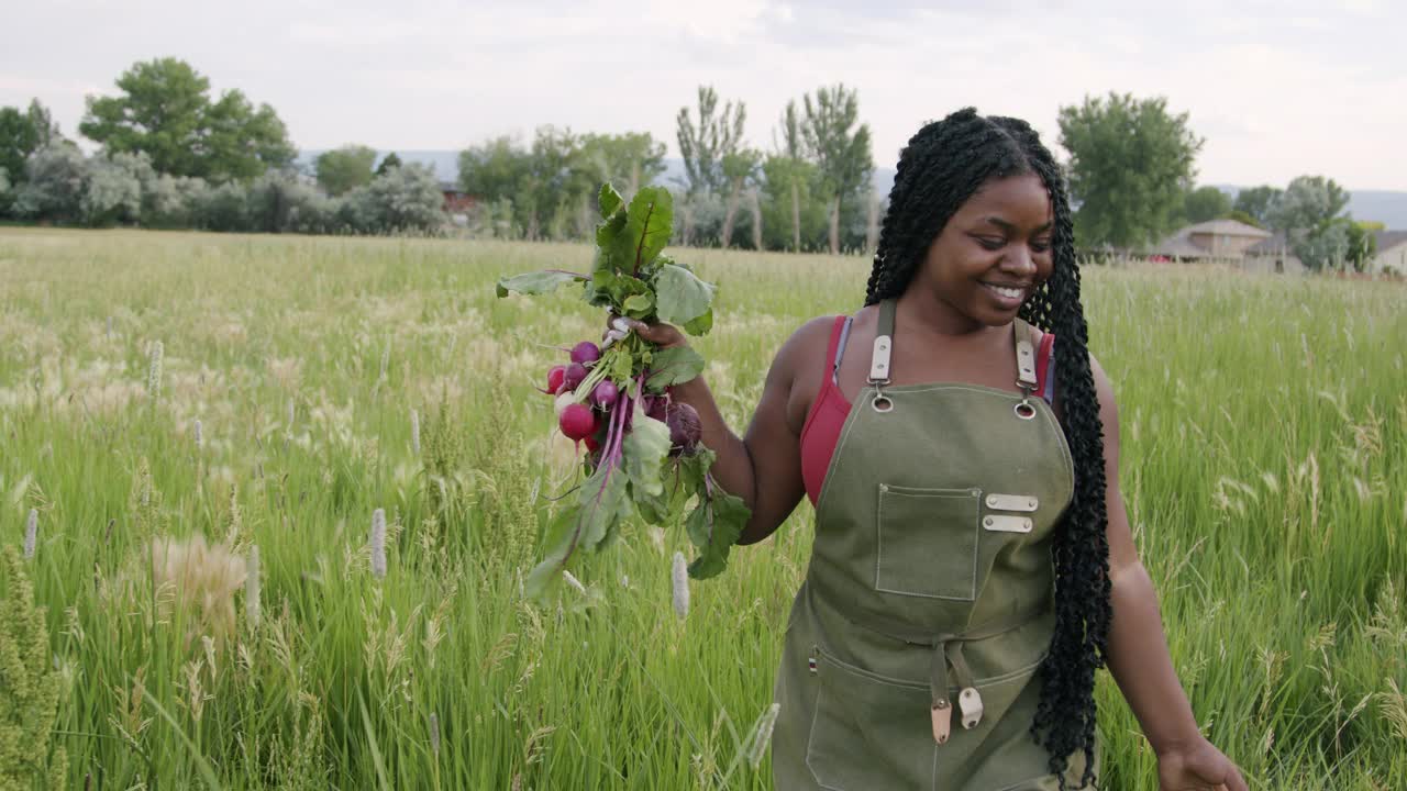 快乐的年轻女性非洲裔美国农民女孩走过绿色的麦田草地在户外拿着美味的新鲜红甜菜在当地的小商业农场到餐桌供应商在科罗拉多州视频下载