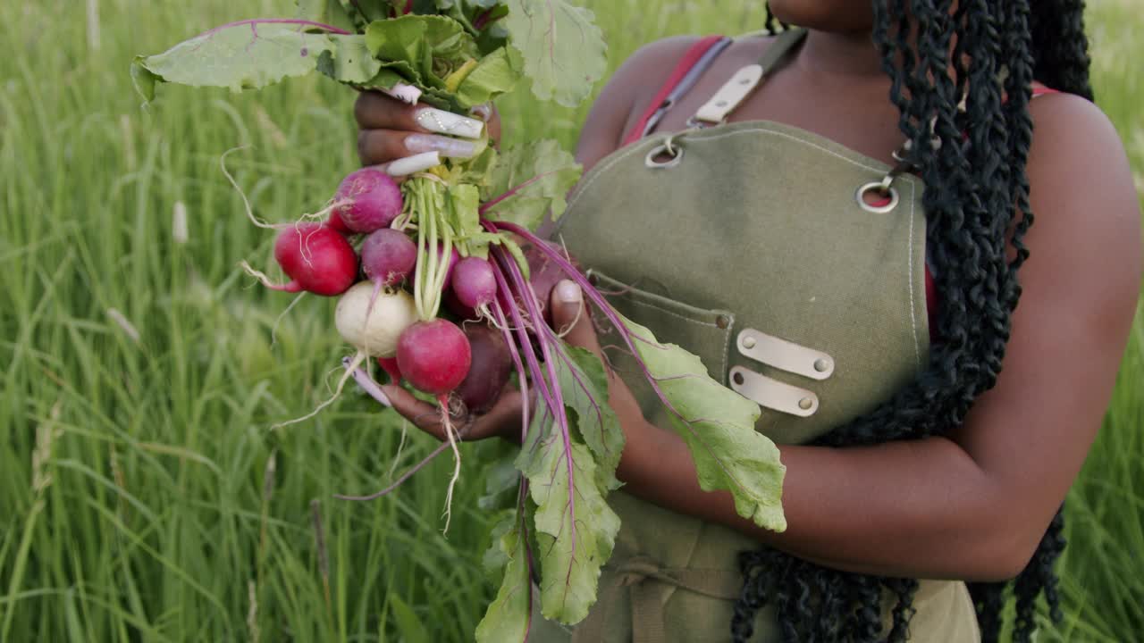 一个年轻女性非洲裔美国农民女孩的手握美味的新鲜红甜菜在当地的小生意农场到餐桌供应商在科罗拉多州的特写镜头视频下载