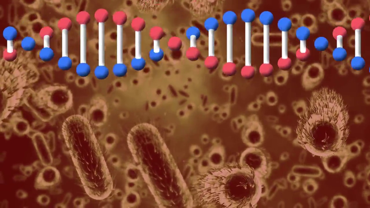 dna链纺丝和宏冠状病毒19细胞的动态视频下载