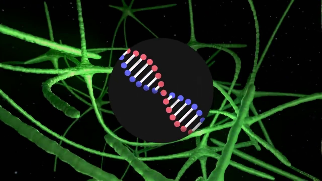 dna结构的数字动画对抗通过神经元的信号旋转视频素材
