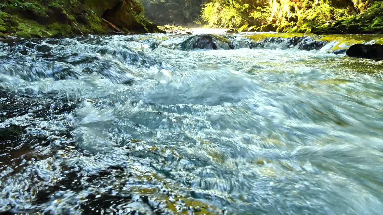 风景瀑布在Vintgar峡谷附近流血，特里格拉夫，斯洛文尼亚视频下载