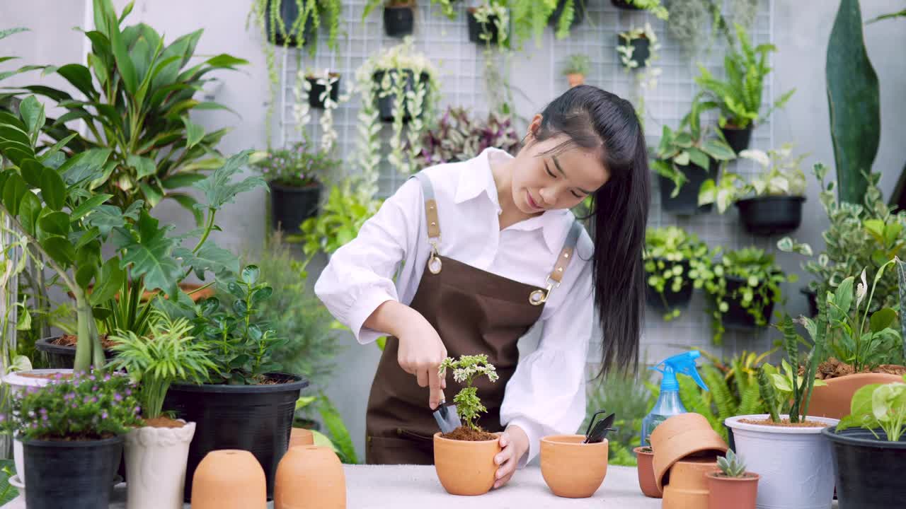 铲植物的女人视频素材