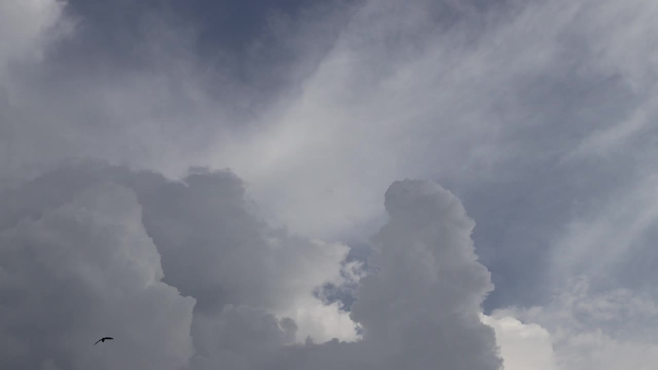 正午时的积云与晴朗的蓝天背景。类型的云库存素材。云和天气的延时库存镜头。视频素材