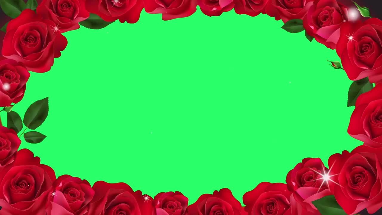 动画红玫瑰框架。视频素材