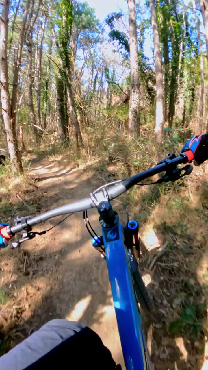 垂直视频拍摄的一个下坡山地摩托车手超速通过森林视频素材
