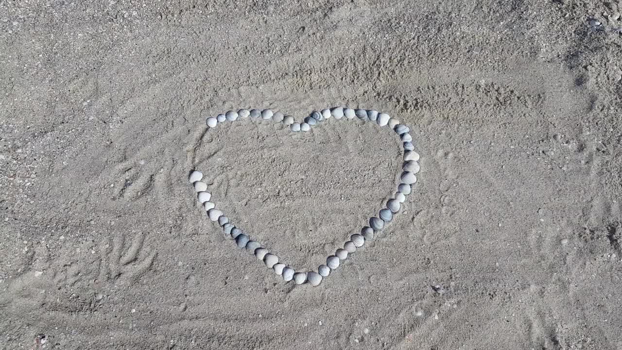 在海边，女孩的手伸出一颗贝壳的心。情人节快乐视频素材