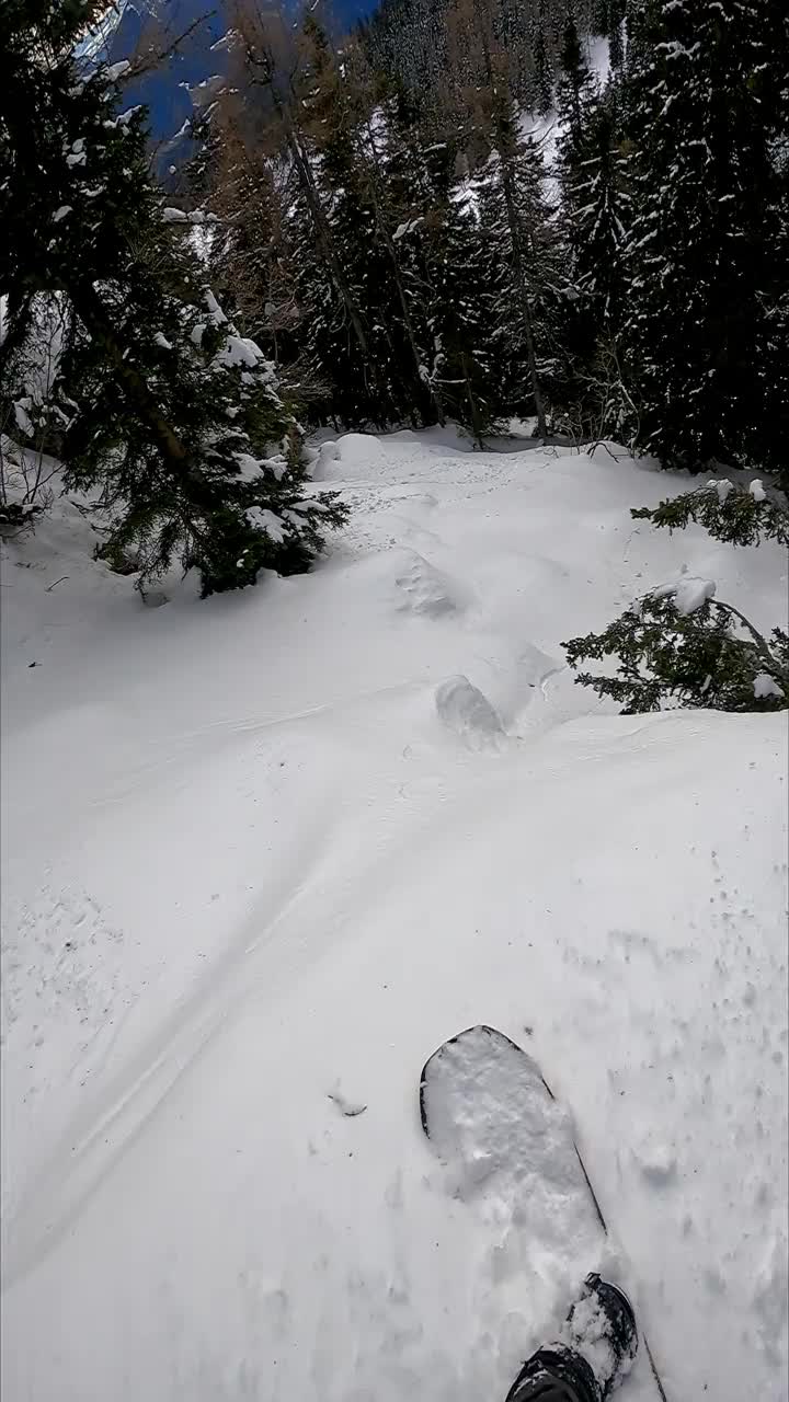 垂直视频POV拍摄的自由式滑雪板雕刻之间的树木在冰雪覆盖的森林视频素材