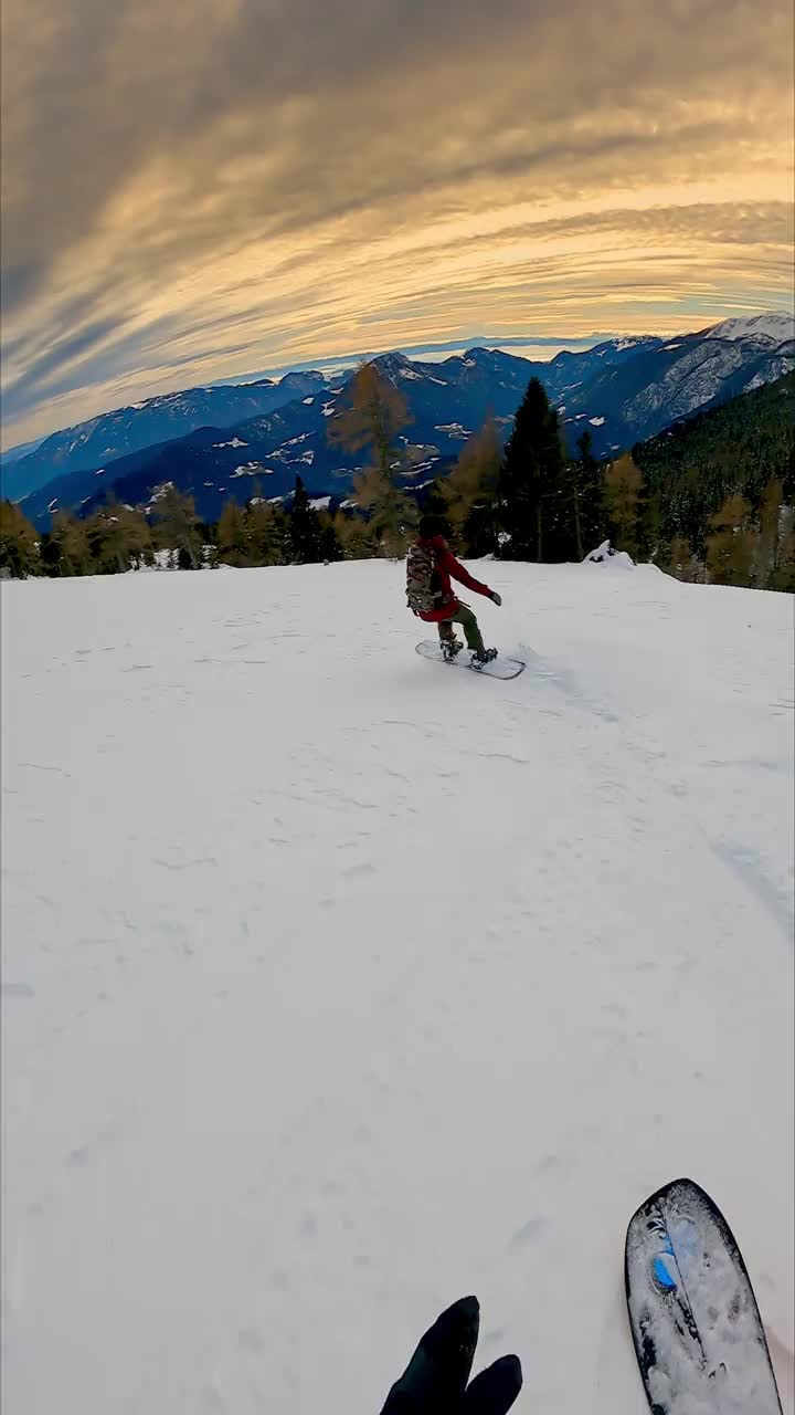 垂直视频POV拍摄的两个自由式滑雪运动员雕刻之间的树下的山视频素材