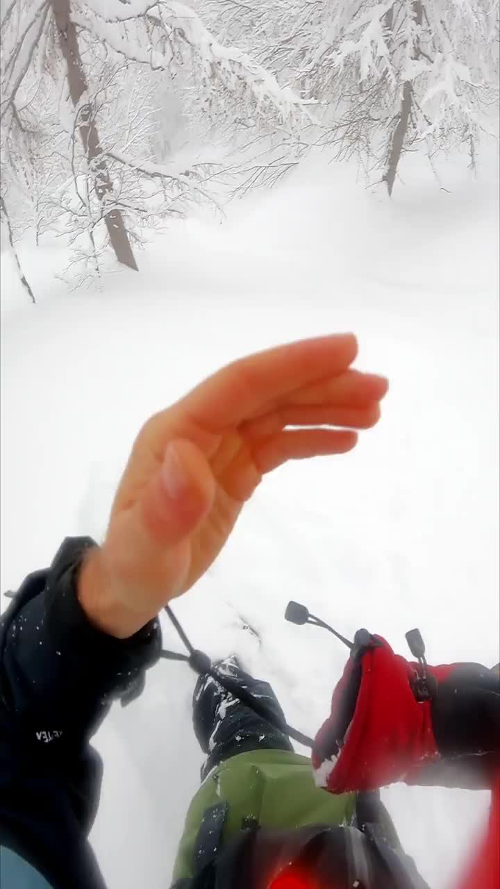 垂直视频POV拍摄的自由式滑雪运动员骑通过积雪覆盖的雪视频素材