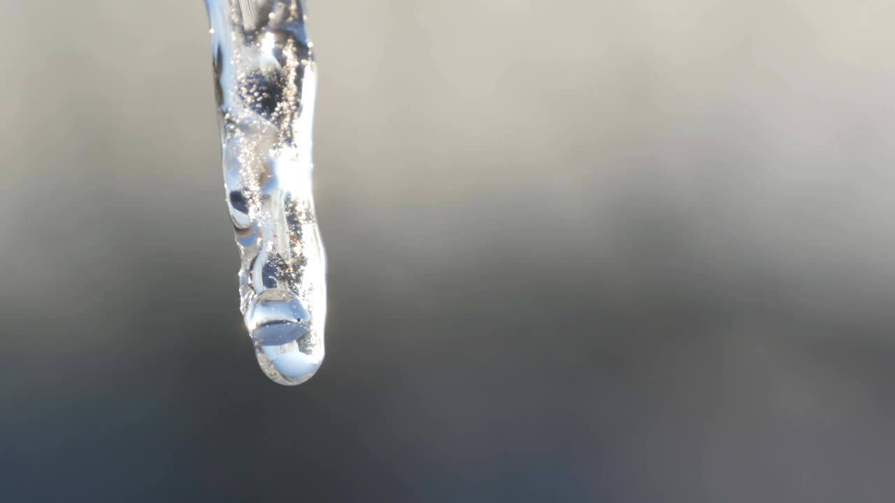 冰柱在春天的阳光下融化。水滴从融化的冰柱上流下，靠近冰柱视频素材