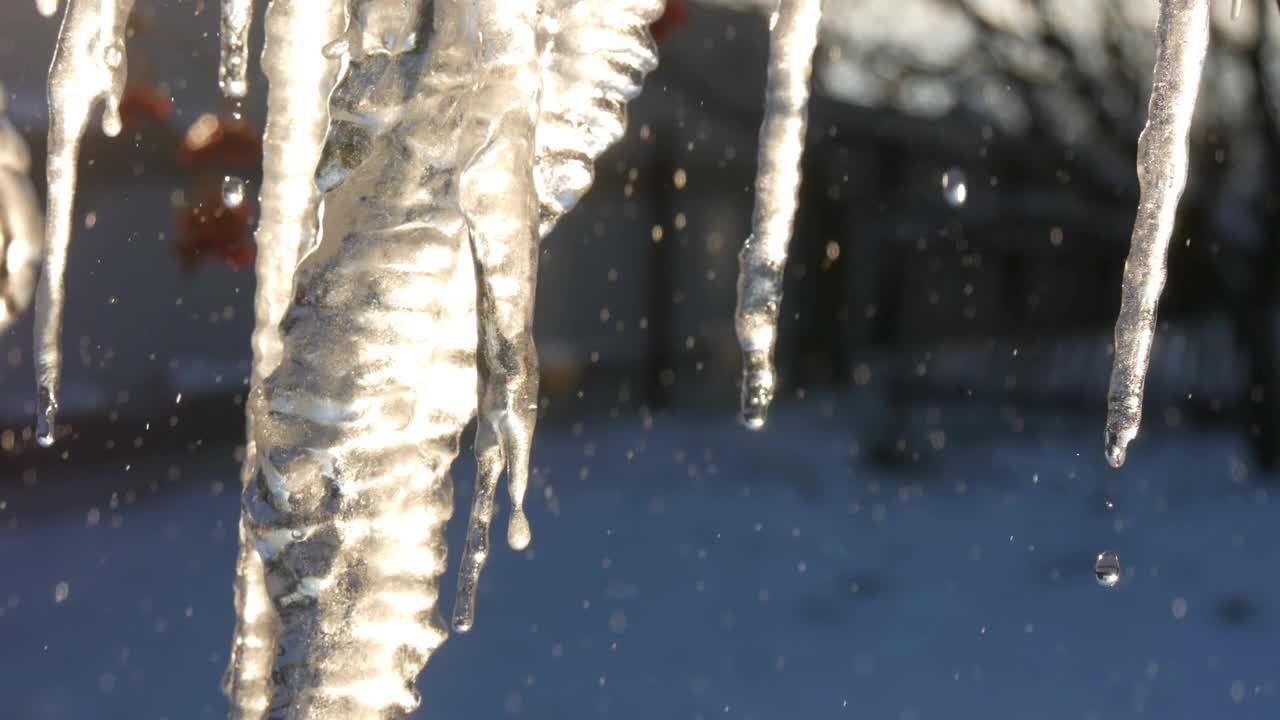 大量融化的冰柱在春天的阳光下闪闪发光视频素材
