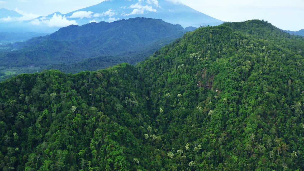 被热带森林覆盖的小山。视频下载