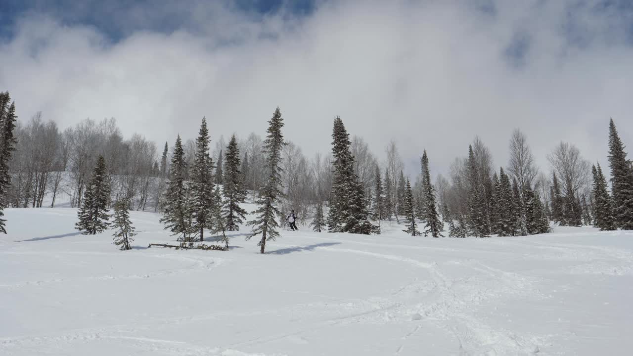 职业高山滑雪自由骑手在冬季的新深雪山上视频素材
