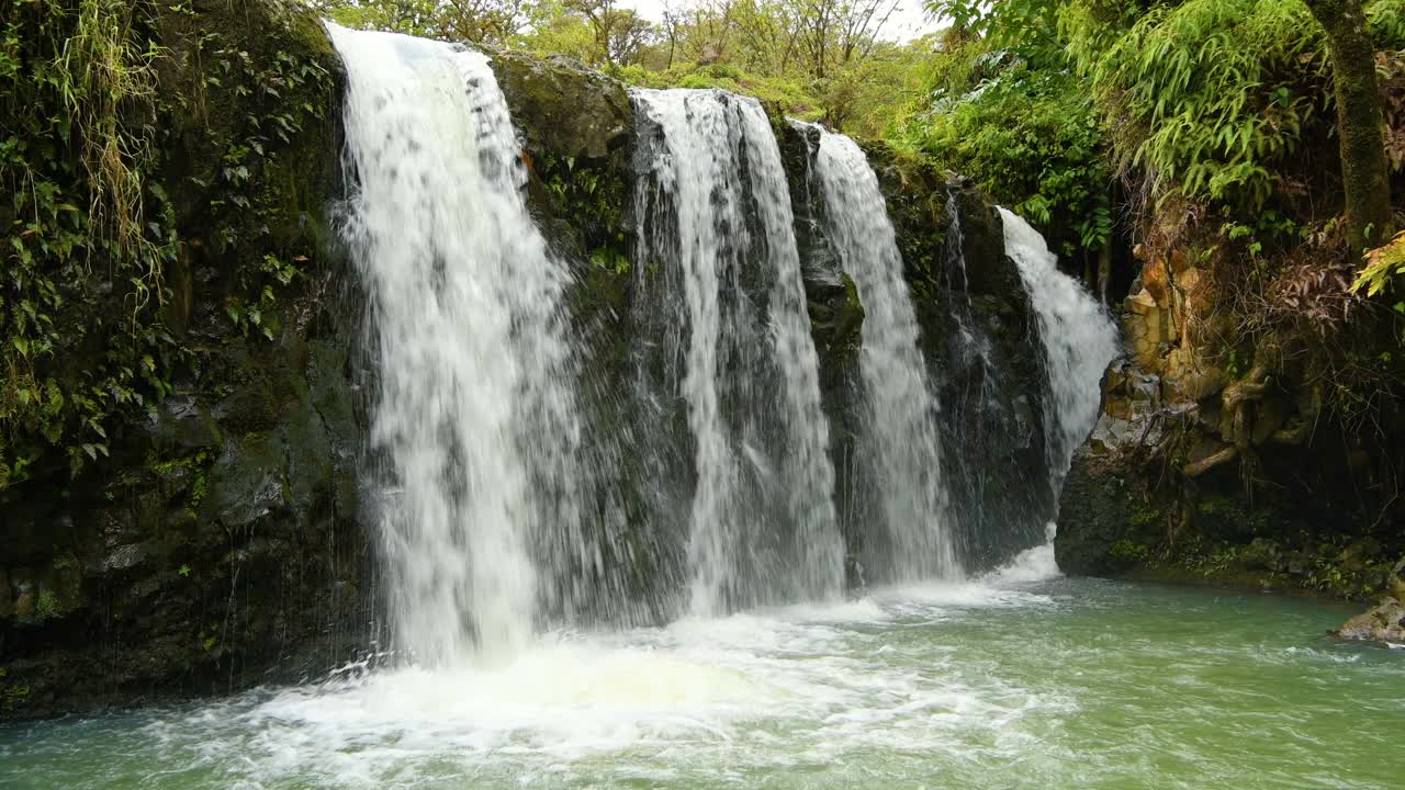 瀑布和绿色池塘-强壮和宽阔的瀑布流入一个清澈的绿色池塘在Puaa Kaa州路旁公园在公路Hana高速公路，毛伊岛，夏威夷，美国。视频下载