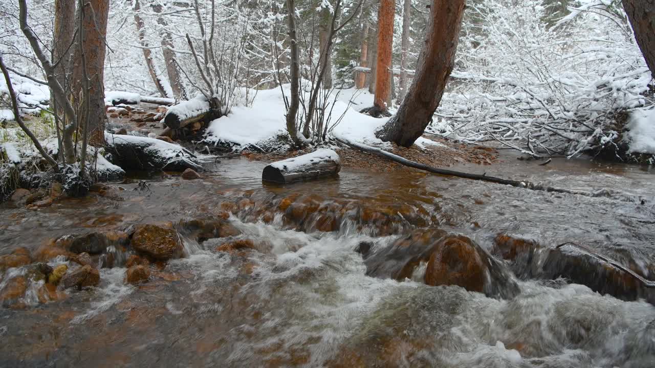 春天山溪-雪天的山溪在茂密的森林。瀑布河在落基山国家公园，科罗拉多州，美国。视频下载