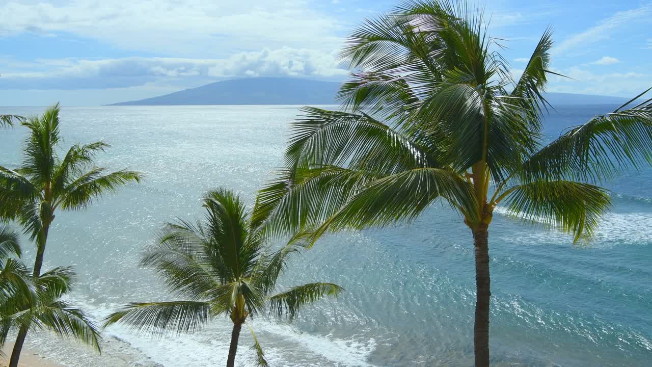热带岛屿——在一个阳光明媚的日子里，毛伊岛西北海岸的棕榈树在微风中摇曳，拉奈岛在地平线上。美国夏威夷毛伊岛。视频下载