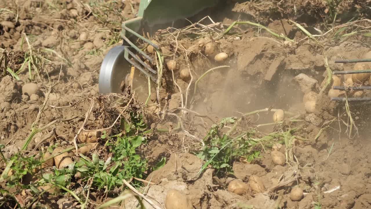 拖拉机和马铃薯收割机在田里。慢动作视频素材