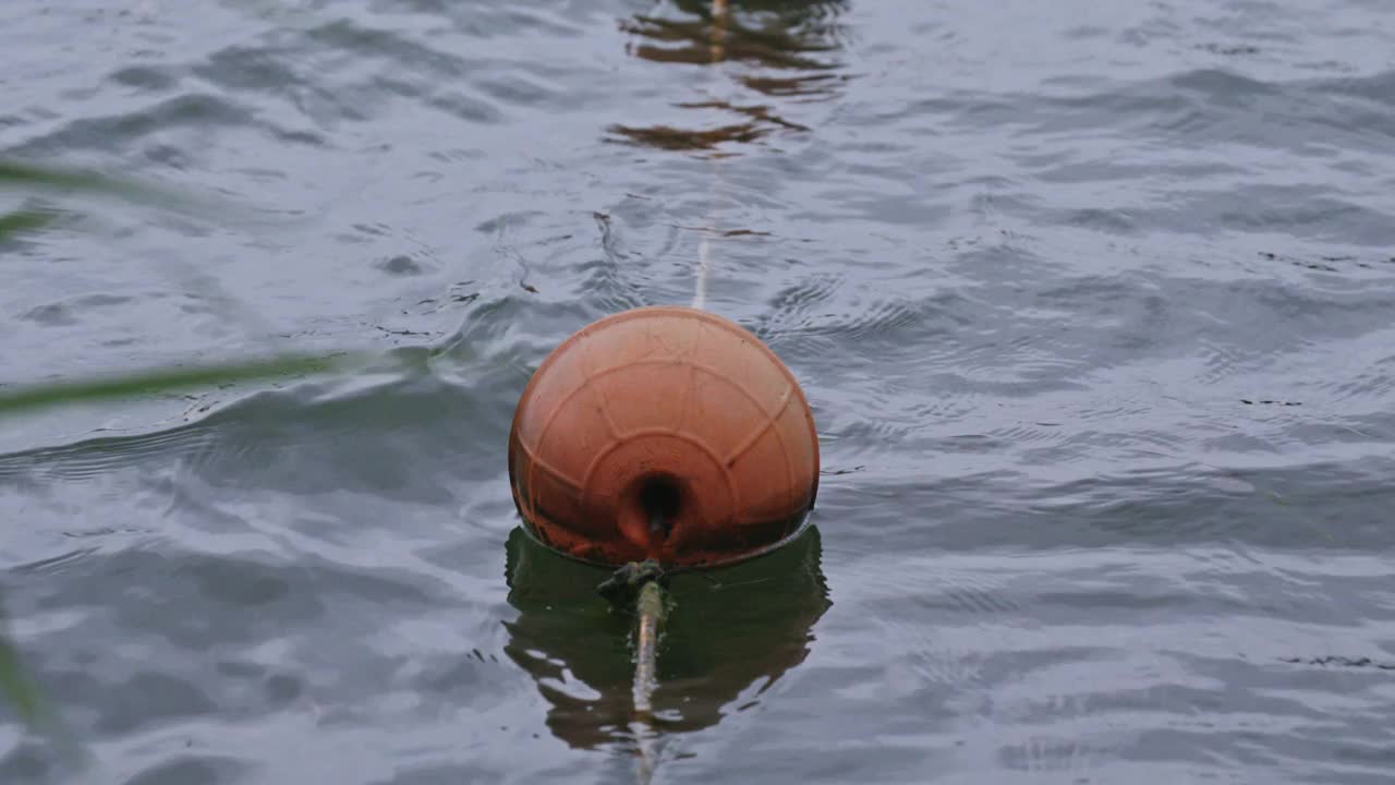 漂浮在波浪上的球形浮标视频下载