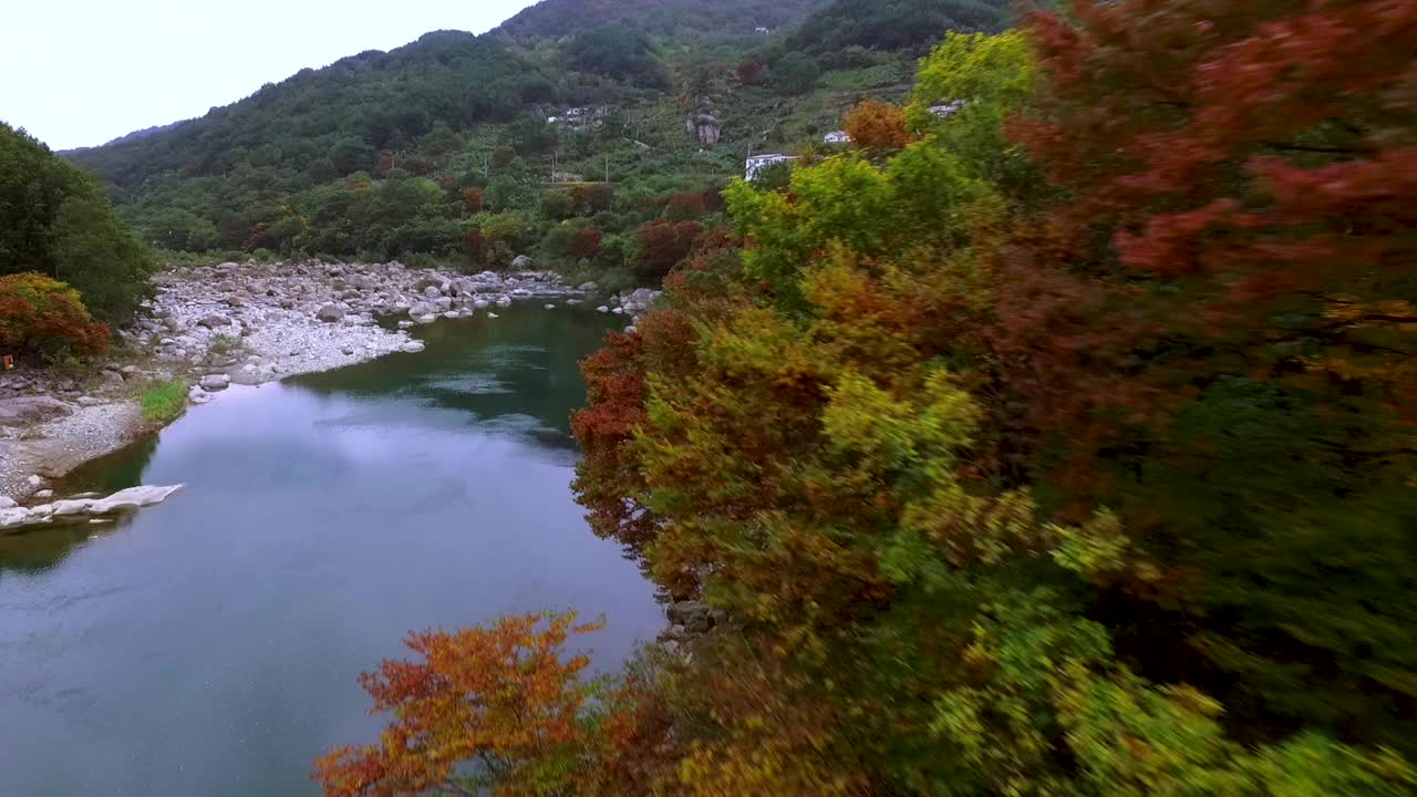 韩国智异山小道附近的小溪和森林的秋天景色视频素材