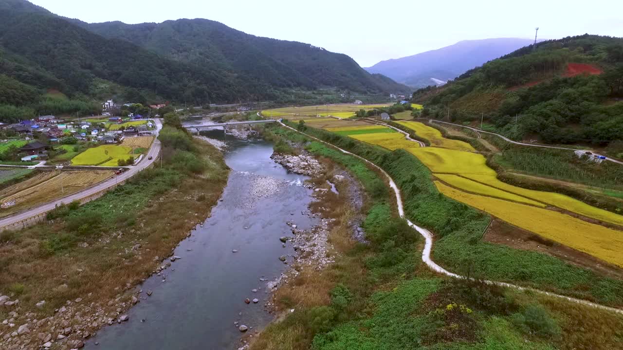 韩国智异山小道附近的小溪和田野的秋景视频下载