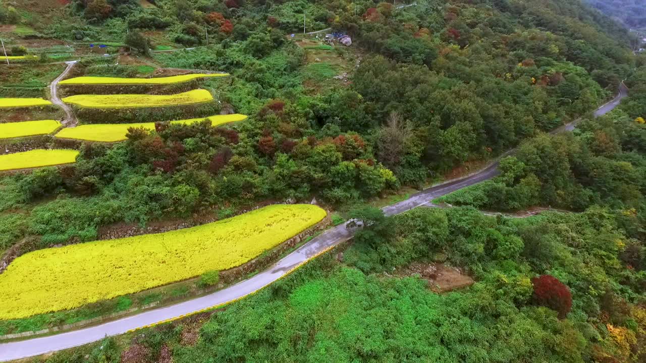 在智异山小道附近的金色田野和小溪的风景/韩国视频素材