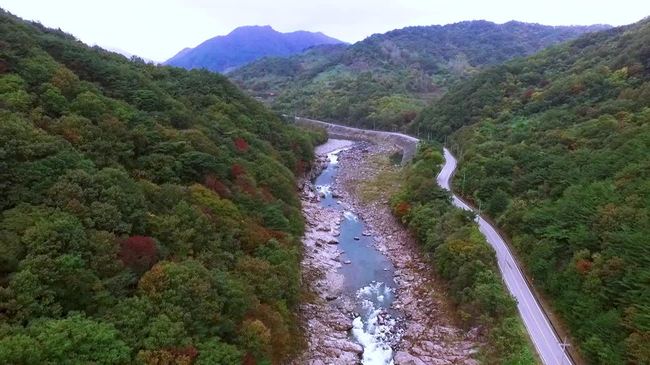 韩国智异山小道附近的小溪和森林的秋天景色视频下载