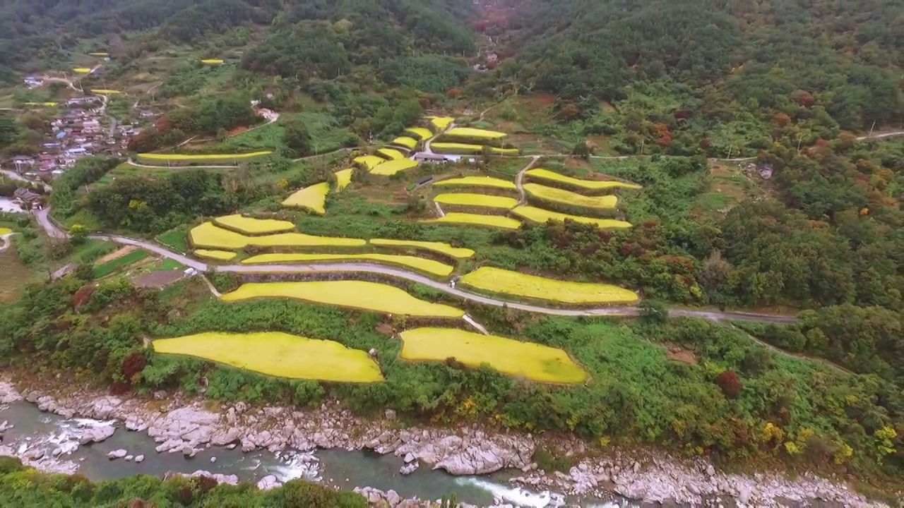 韩国智异山小路金色田野附近的村庄的秋景视频素材