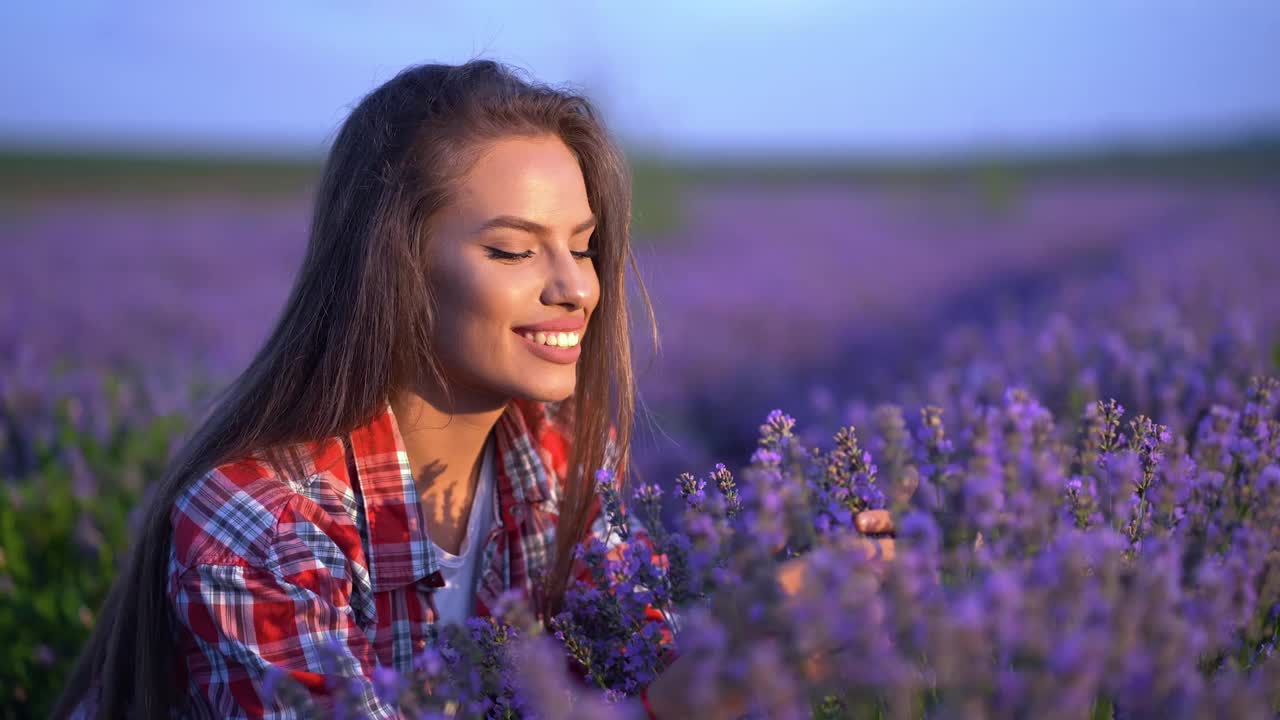 女孩的手抚摸着，嗅着田野里紫色的薰衣草花。视频下载