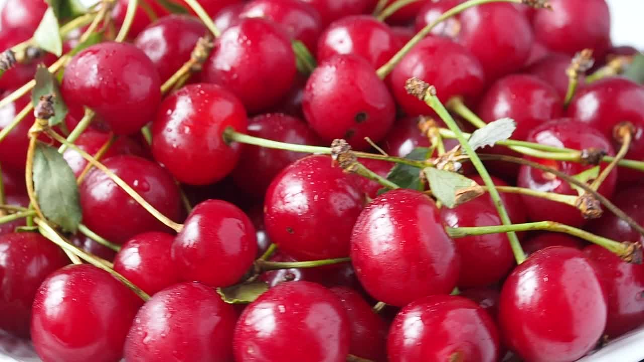 新鲜成熟的樱桃浆果轮换。背景是夏季收获的果树视频下载