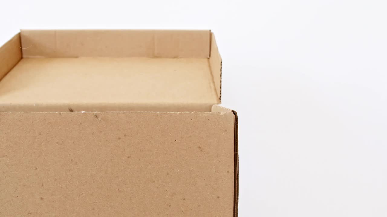 纸箱里的4k条纹灰小猫。猫躲在盒子里跳起来视频下载