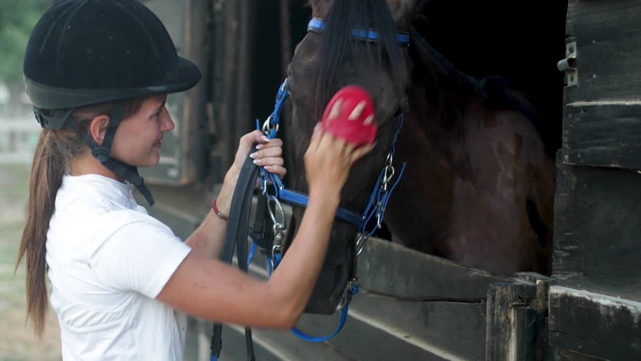 美丽的年轻女子骑师在骑马装备抚摸她的马视频下载