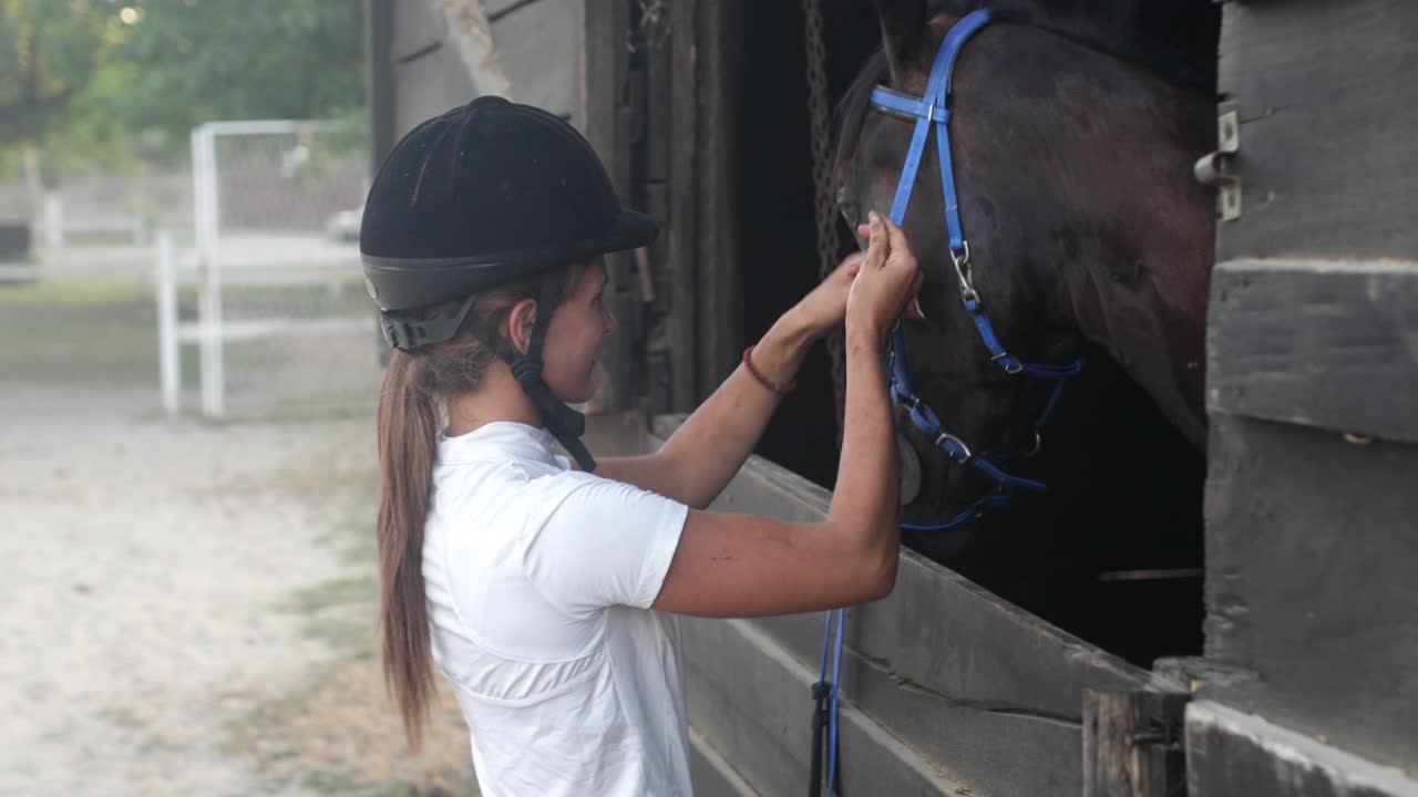 穿着骑马装备的漂亮年轻女子抚摸着她的马视频下载
