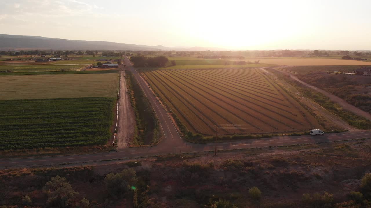在夏季黄昏，在科罗拉多Fruita附近的玉米地转向无人机视频下载