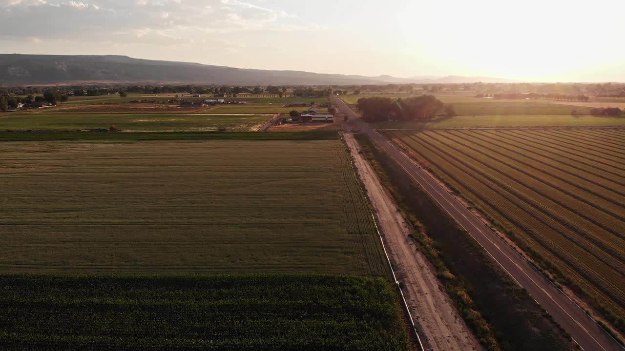 黄昏时分，一架无人机在科罗拉多州Fruita附近拍摄干草、玉米和小麦田视频下载