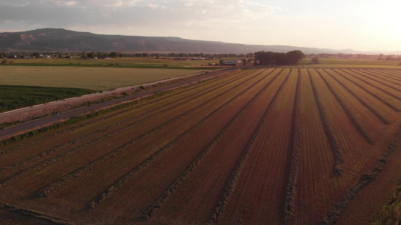 在夏天的黄昏时分，在科罗拉多州Fruita的新鲜收割的干草地里，飞翔的无人机镜头视频下载