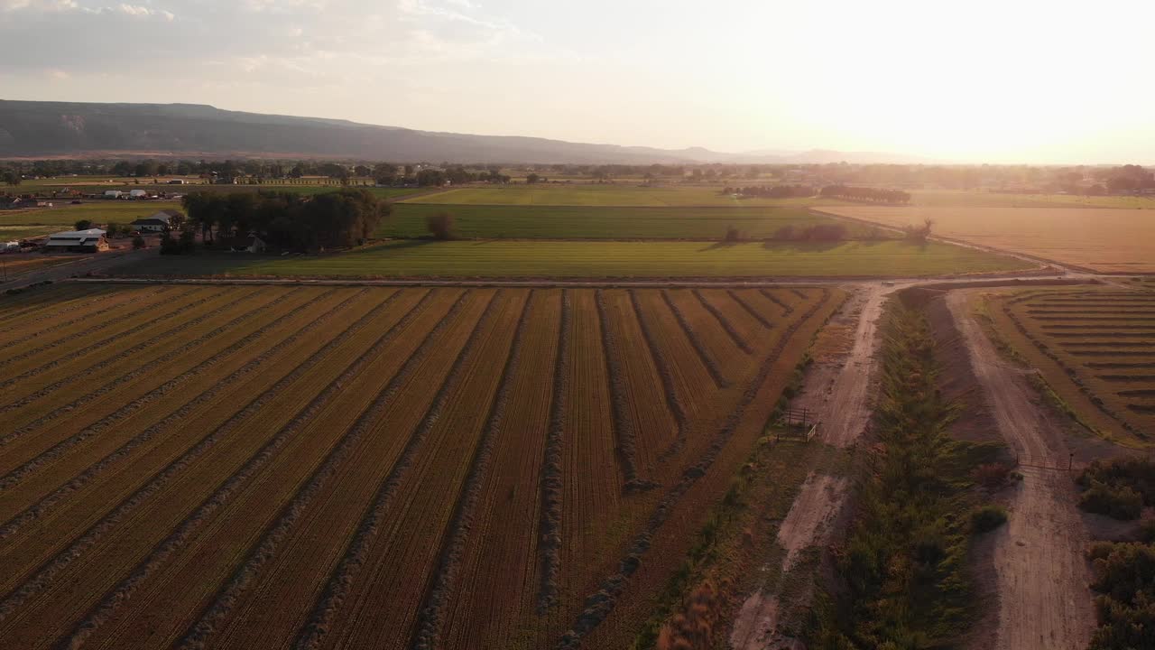 在科罗拉多州Fruita的夏季黄昏时分，无人机拍摄了农田的拼凑画面视频下载