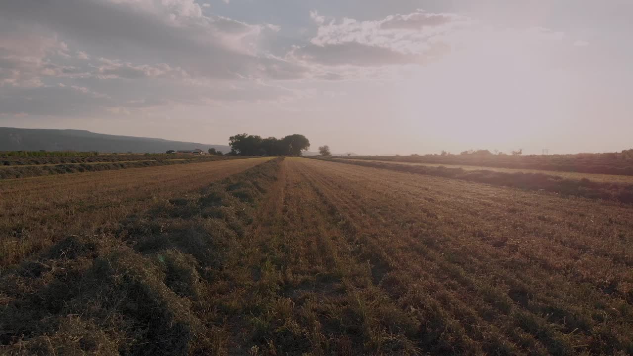无人机低空飞过科罗拉多州西部一处刚割下的干草地视频下载