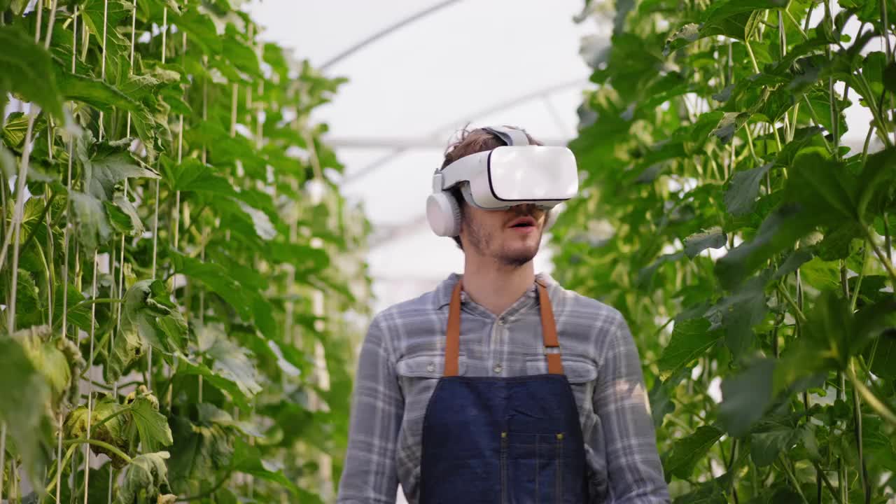 正面视图白种人蓝领工人戴着虚拟现实头戴式触摸体验大数据的有机日本甜瓜在温室中检查产品质量。视频下载
