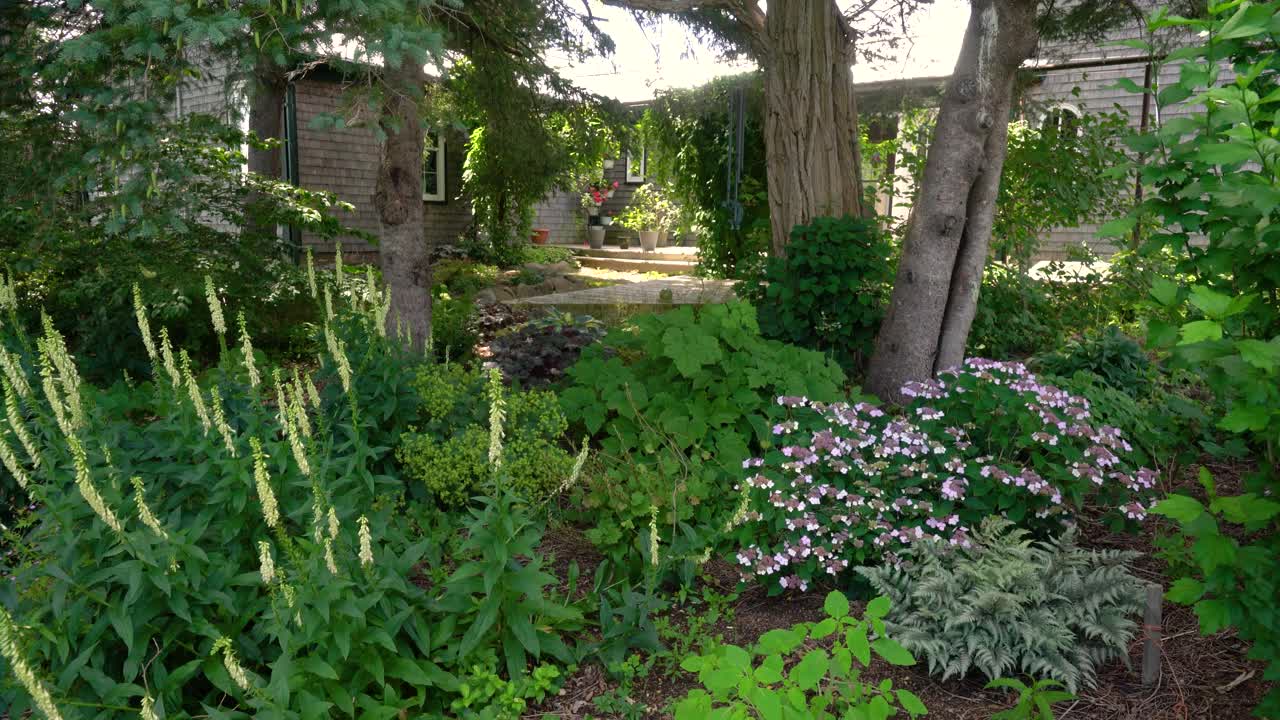 一个遮荫花园的背景视频视频下载
