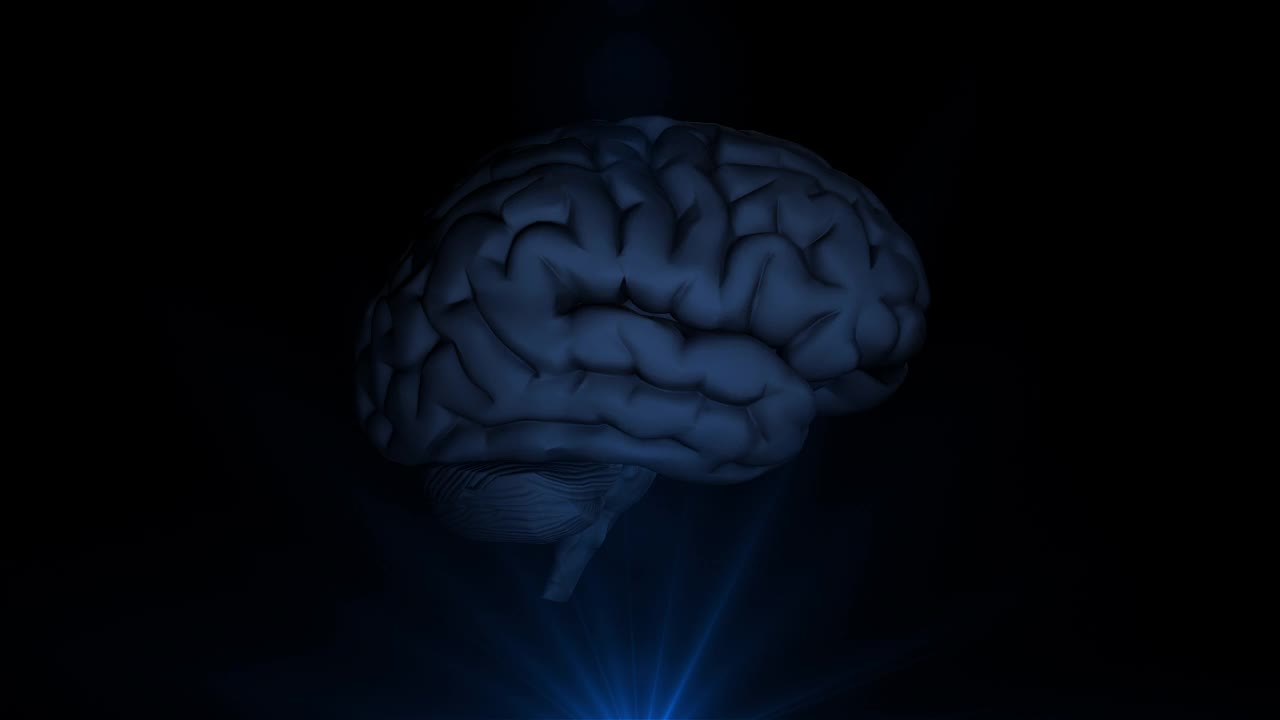 AI人工智能数字大脑动画。神经网络。大数据深度学习现代技术。大数据流分析。神经外科大脑扫描技术。思维过程视频素材