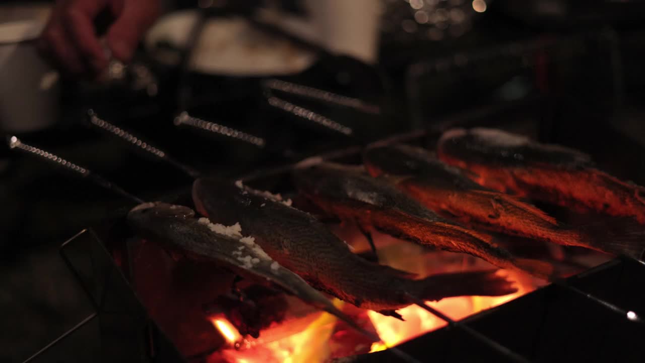 年轻女子在晚上的烧烤派对上往鱼上撒盐视频下载