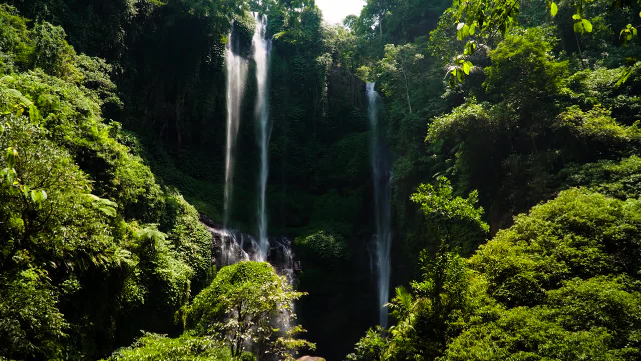 美丽的热带瀑布。印尼巴厘岛视频素材