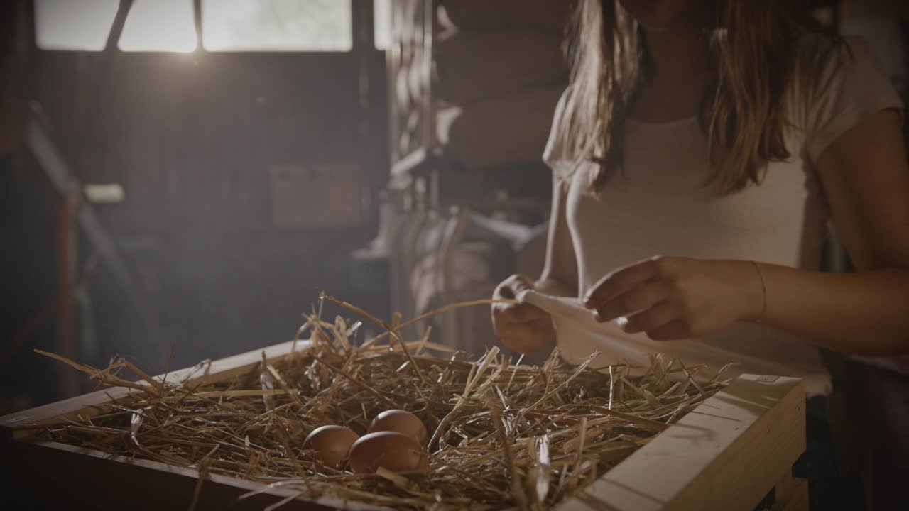 SLO MO DL一名年轻女子从板条箱里捡新鲜鸡蛋视频素材