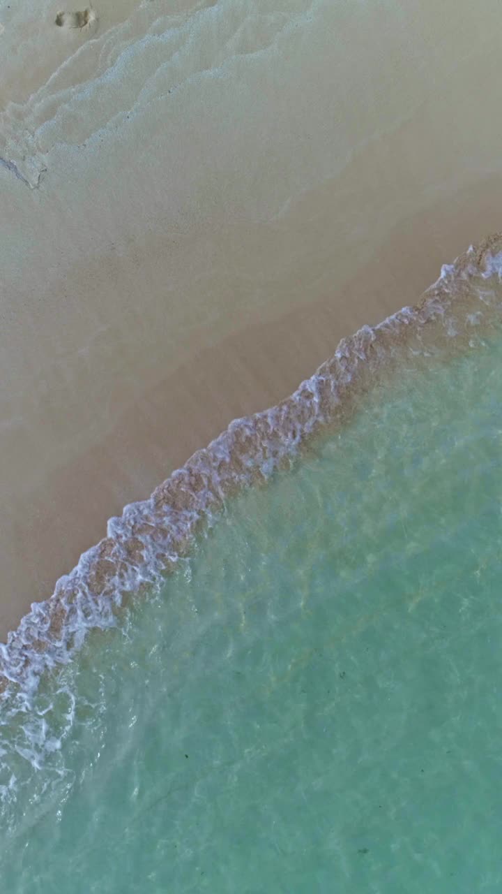 正下方鸟瞰图的白色沙洲在加勒比海与绿松石水域视频素材