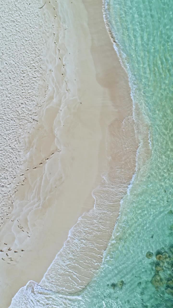 在加勒比海关键的海岸线上，海浪的鸟瞰图正下方视频素材