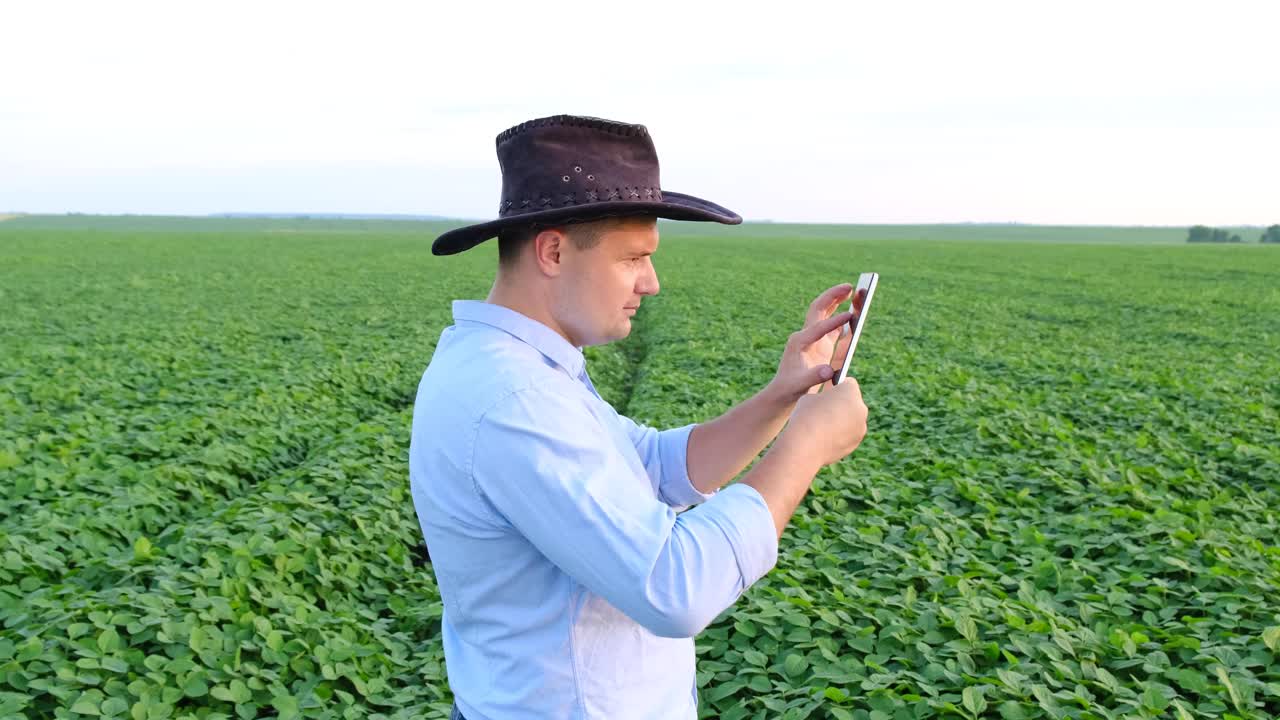 一名男性农学家在农田里用数码板检查豆科植物的生长情况视频下载