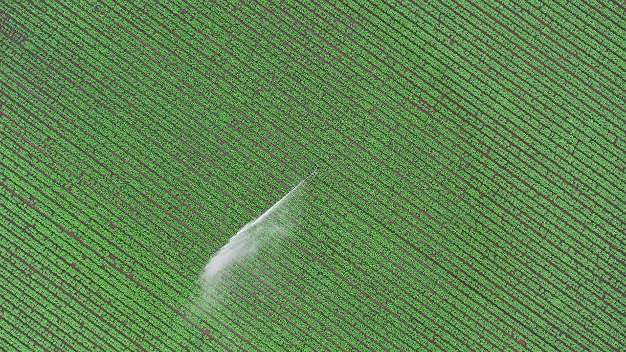 英国，英国，英国，无人机俯视田野里的农业喷水器视频下载